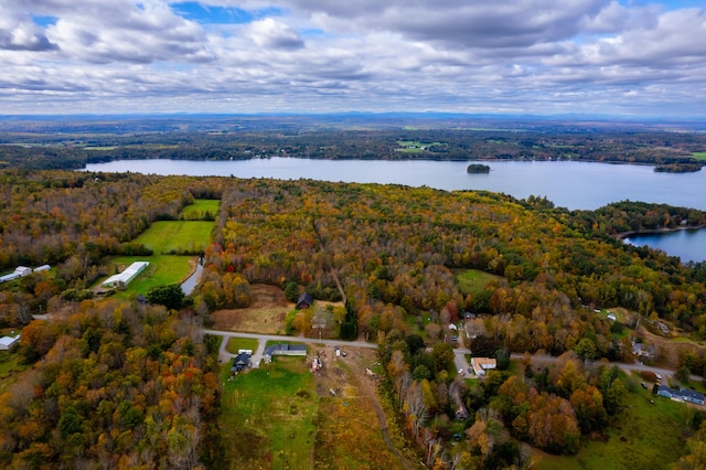aerial overview of property's location featuring a heavily wooded area and a nearby body of water