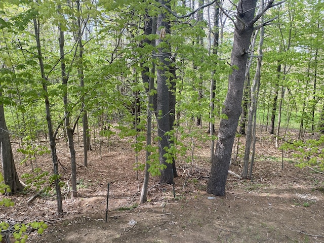 50 Ross Rd, Saco, ME 04072 - photo 39