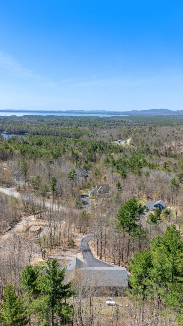 105 Mitchell Rd, Casco, ME 04015 - photo 5
