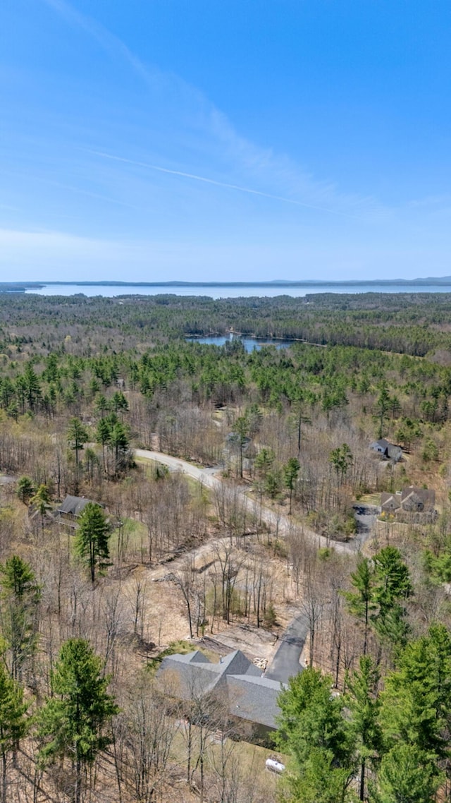 105 Mitchell Rd, Casco, ME 04015 - photo 6