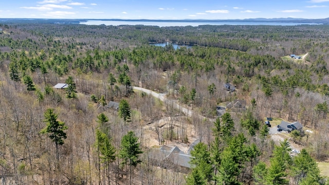105 Mitchell Rd, Casco, ME 04015 - photo 7