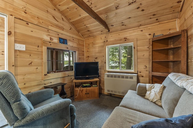 23 E Shore Dr, Greene, ME 04236 - living room featuring radiator, wooden ceiling, and wooden walls