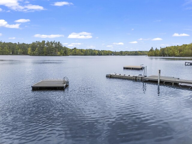23 E Shore Dr, Greene, ME 04236 - dock area with a water view and a view of trees