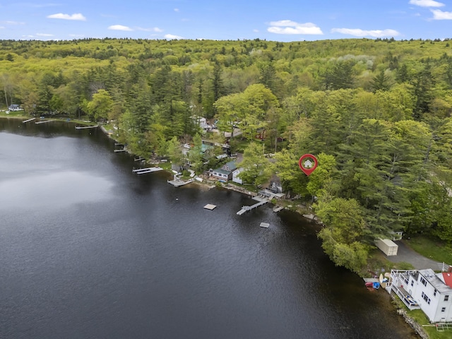 23 E Shore Dr, Greene, ME 04236 - aerial view of a forest and a large body of water