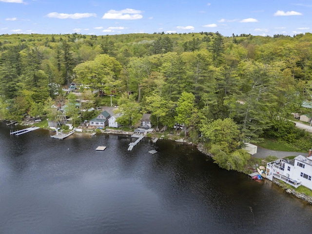 23 E Shore Dr, Greene, ME 04236 - bird's eye view of a large body of water and a forest