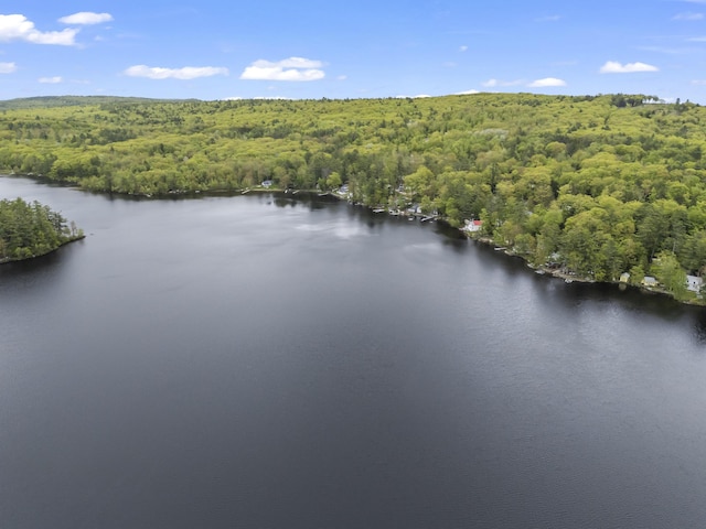 23 E Shore Dr, Greene, ME 04236 - drone / aerial view of a heavily wooded area and a nearby body of water