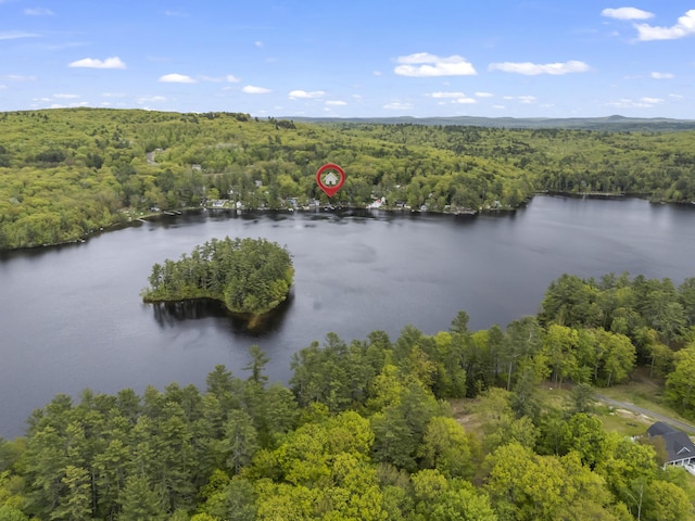 23 E Shore Dr, Greene, ME 04236 - drone / aerial view of a heavily wooded area and a nearby body of water