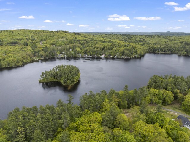 23 E Shore Dr, Greene, ME 04236 - drone / aerial view of a heavily wooded area and a nearby body of water