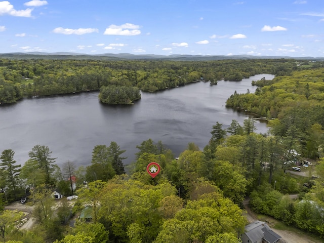 23 E Shore Dr, Greene, ME 04236 - bird's eye view of a heavily wooded area and a nearby body of water