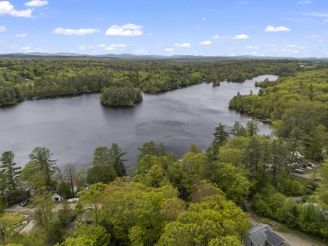 23 E Shore Dr, Greene, ME 04236 - aerial view of a heavily wooded area and a nearby body of water