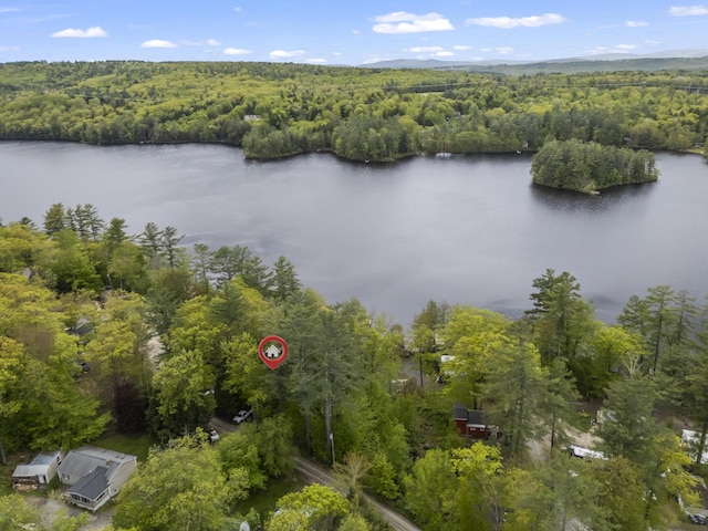 23 E Shore Dr, Greene, ME 04236 - aerial view of a heavily wooded area and a nearby body of water