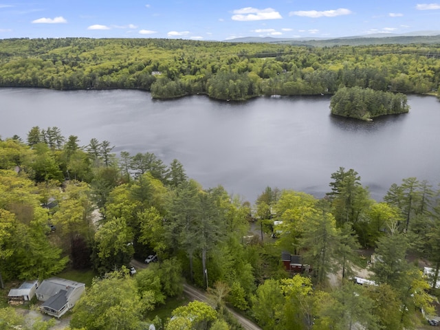 23 E Shore Dr, Greene, ME 04236 - aerial view of a heavily wooded area and a large body of water