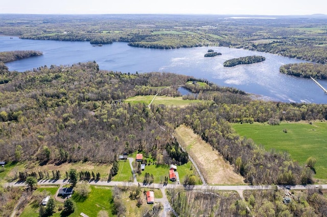 225 Todds Corner Rd, Saint Albans, ME 04971 - aerial overview of property's location with a heavily wooded area and a nearby body of water