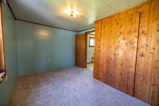 225 Todds Corner Rd, Saint Albans, ME 04971 - spare room featuring carpet flooring, ornamental molding, and wooden walls