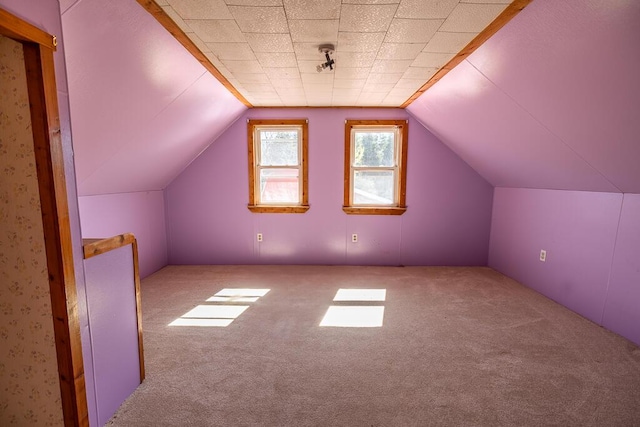 225 Todds Corner Rd, Saint Albans, ME 04971 - additional living space featuring carpet floors and vaulted ceiling
