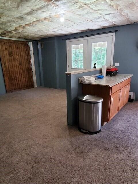 4 Maggie Way, Ellsworth, ME 04605 - basement featuring carpet flooring