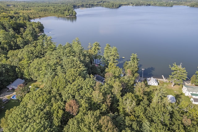 aerial view of property's location with a heavily wooded area and a nearby body of water