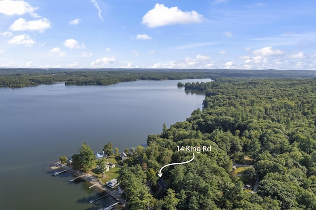 drone / aerial view of a forest and a nearby body of water