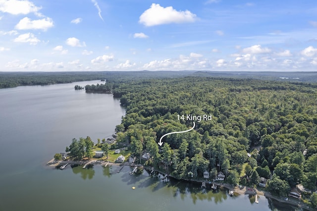 drone / aerial view of a heavily wooded area and a large body of water