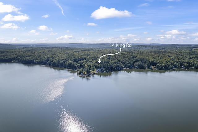 drone / aerial view of a heavily wooded area and a large body of water