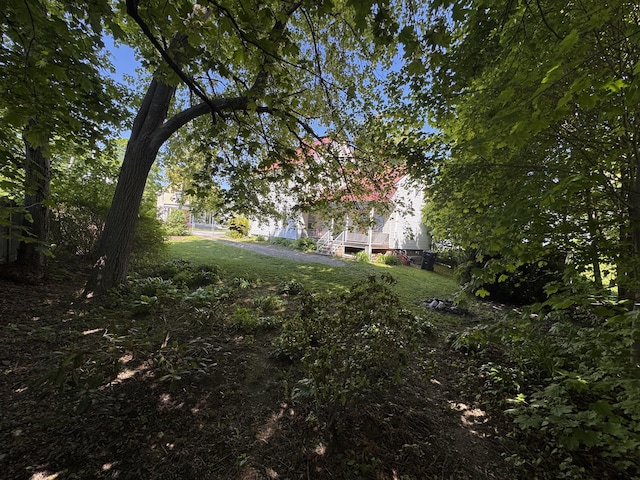21 Fern St, Bangor, ME 04401 - view of green lawn