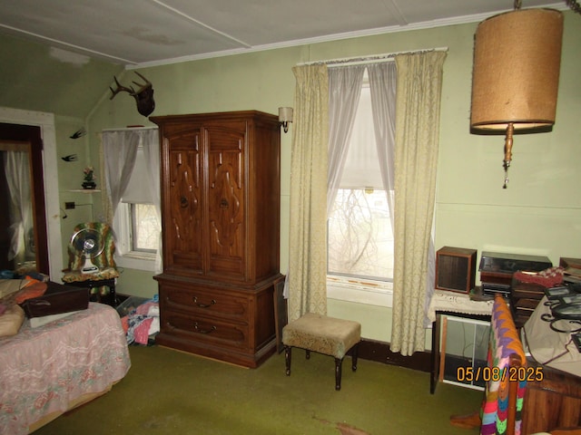 8 Water St, Milo, ME 04463 - carpeted bedroom featuring multiple windows and vaulted ceiling