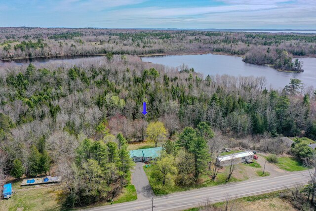 aerial overview of property's location featuring a large body of water and a forest
