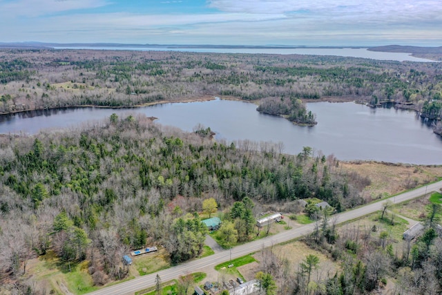 aerial overview of property's location featuring a heavily wooded area and a large body of water