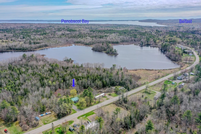 view of property location featuring a large body of water and a forest