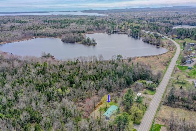 view of property location with a heavily wooded area and a large body of water