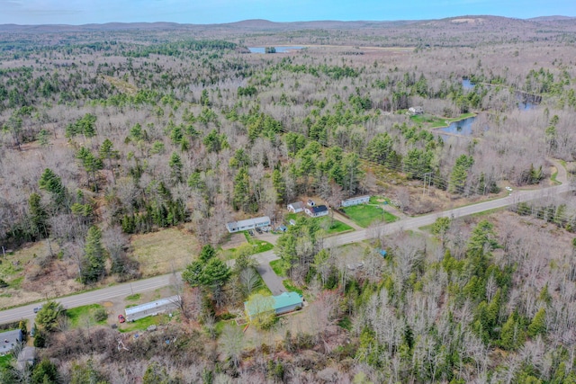 aerial view of property's location with a forest and a large body of water
