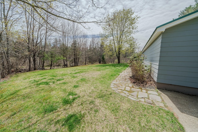 view of grassy yard