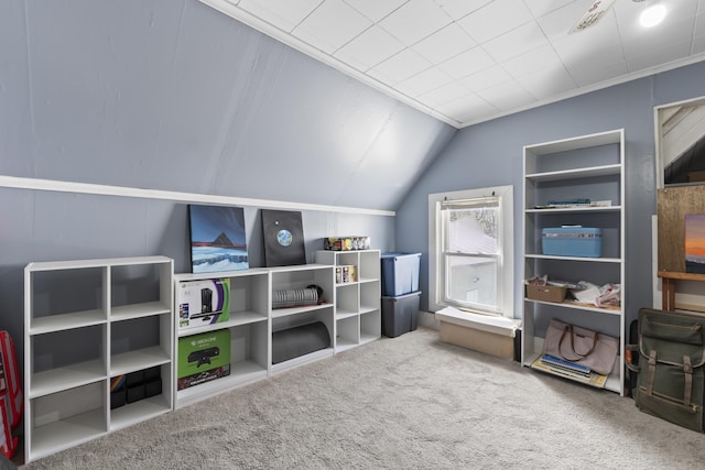 1568 Hill Rd, Canaan, ME 04924 - recreation room featuring carpet and vaulted ceiling