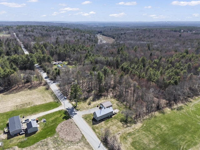 1568 Hill Rd, Canaan, ME 04924 - view of property location featuring a forest