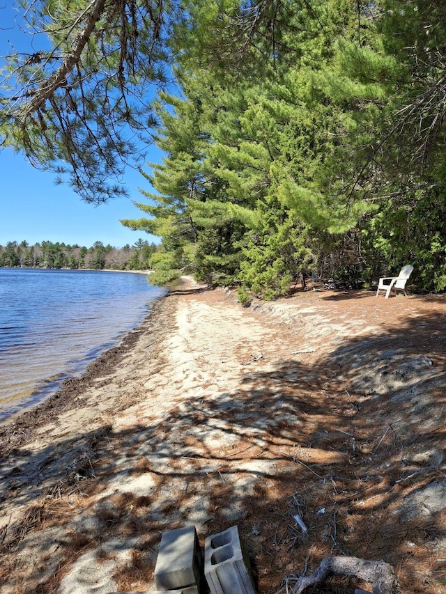27 Kingman Beach Rd, Osborn, ME 04605 - water view with a forest