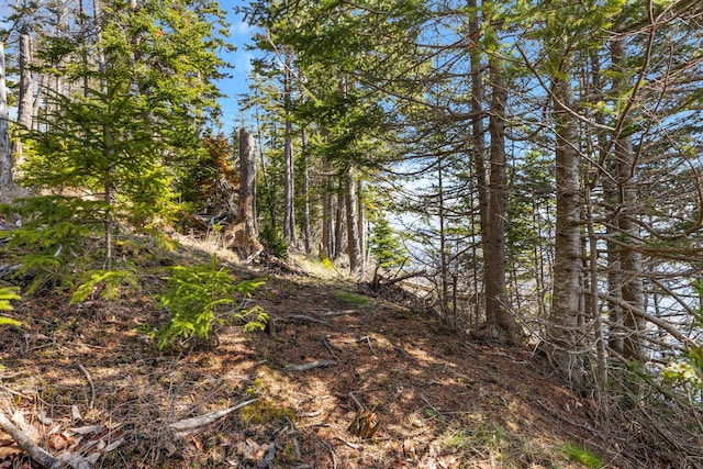 197 E Shore Dr, Islesboro, ME 04848 - view of local wilderness