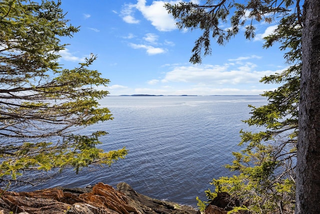197 E Shore Dr, Islesboro, ME 04848 - water view