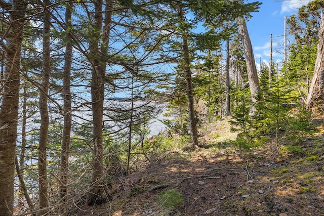 197 E Shore Dr, Islesboro, ME 04848 - water view