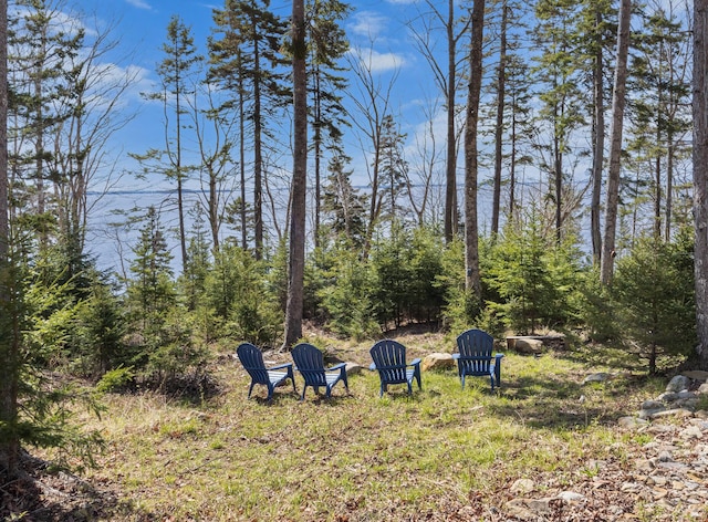 197 E Shore Dr, Islesboro, ME 04848 - view of yard
