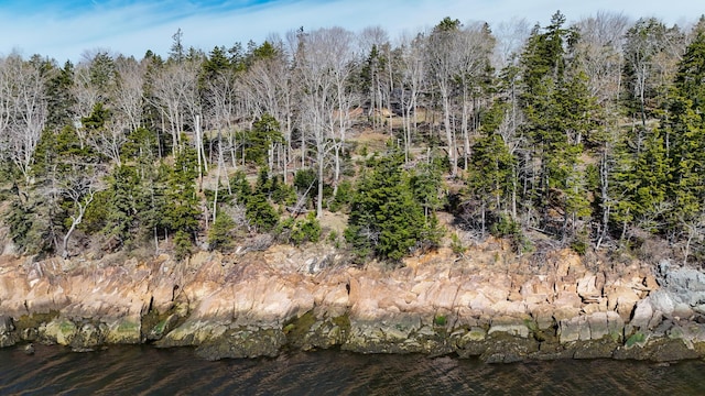 197 E Shore Dr, Islesboro, ME 04848 - view of undeveloped land