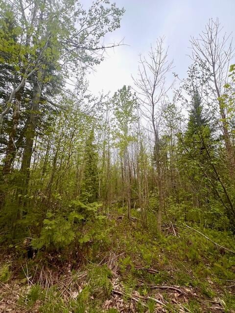 395 Ruth Rd, Linneus, ME 04730