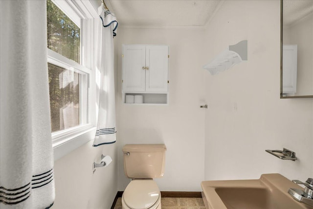 1270 Main St, Mount Desert, ME 04660 - bathroom featuring a sink, toilet, baseboards, and crown molding