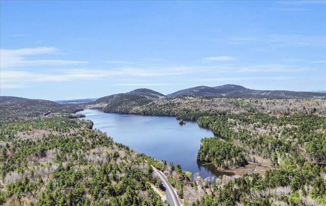 1270 Main St, Mount Desert, ME 04660 - water view featuring mountains and a forest