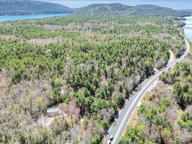 1270 Main St, Mount Desert, ME 04660 - bird's eye view of a forest and a water and mountain view