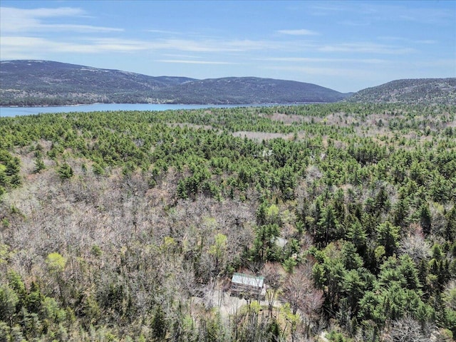 1270 Main St, Mount Desert, ME 04660 - mountain view featuring a forest and a nearby body of water