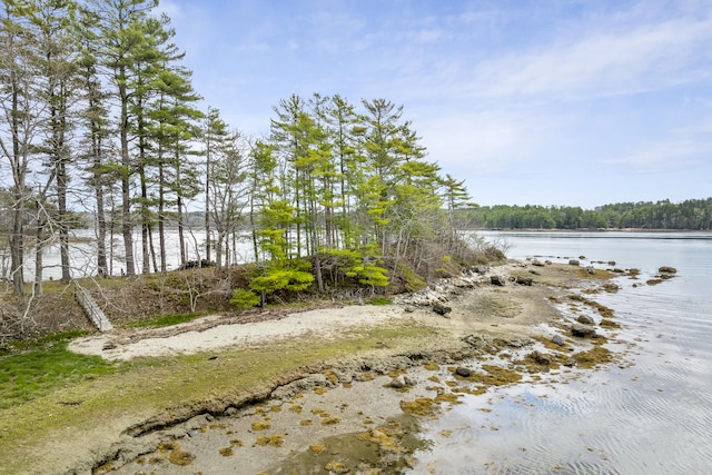 water view with a heavily wooded area