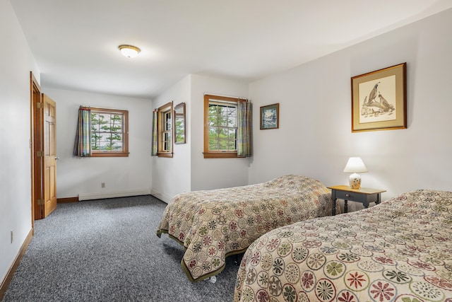 carpeted bedroom featuring multiple windows and baseboards