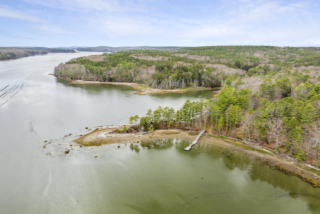 aerial overview of property's location with a nearby body of water and a heavily wooded area