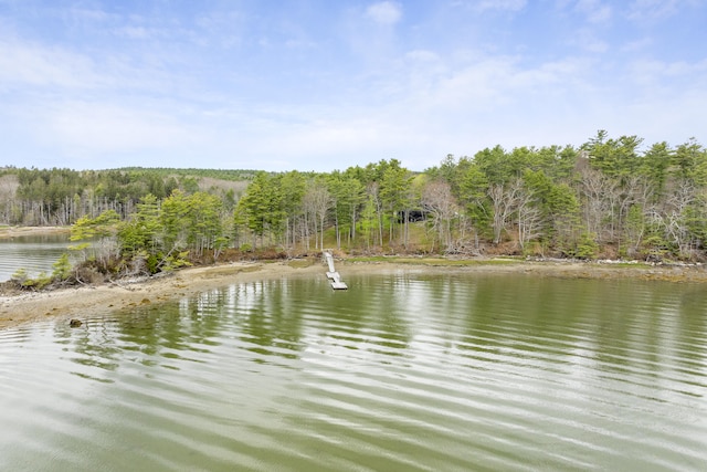 water view featuring a heavily wooded area