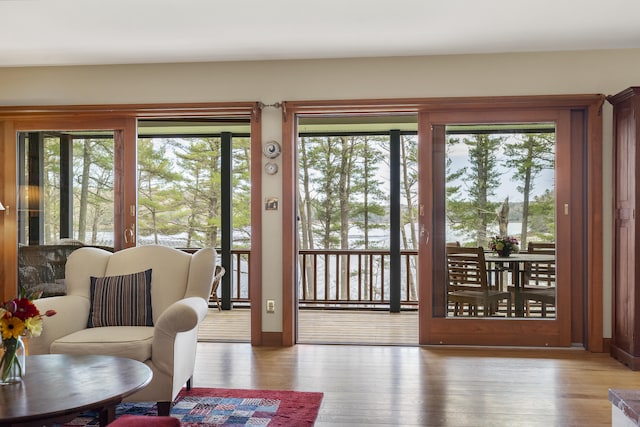 doorway to outside with wood finished floors, plenty of natural light, and baseboards